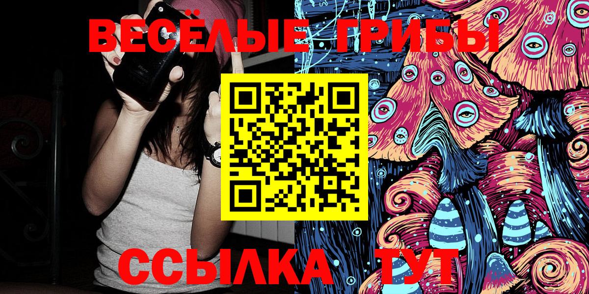 Старая Купавна  Псилоцибиновые грибы Cubensis  Вход с VPN 
